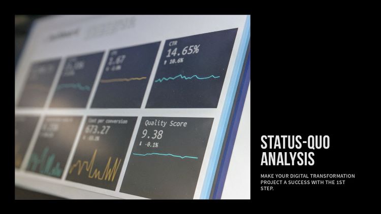 Status Quo Analysis