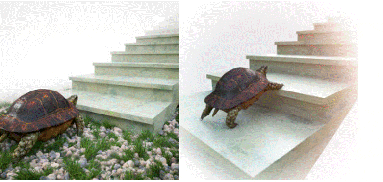 Christine's turtle - the first step